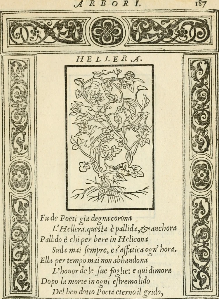 An illustration from Diverse imprese accommodate a diuerse moralità : con versi che i loro significati dichiarano insieme con molte altre nella lingua italiana non piu tradotte, 1551, leaf 192