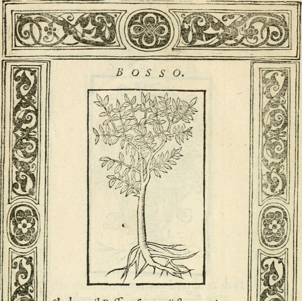 An illustration from Diverse imprese accommodate a diuerse moralità : con versi che i loro significati dichiarano insieme con molte altre nella lingua italiana non piu tradotte, 1551, leaf 193