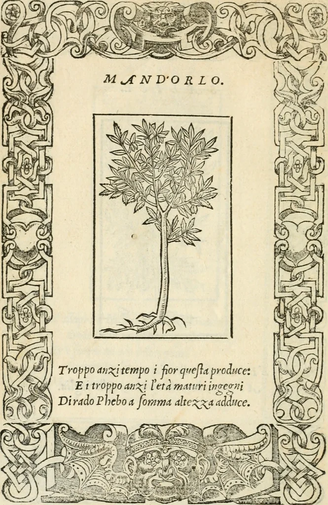 An illustration from Diverse imprese accommodate a diuerse moralità : con versi che i loro significati dichiarano insieme con molte altre nella lingua italiana non piu tradotte, 1551, leaf 195