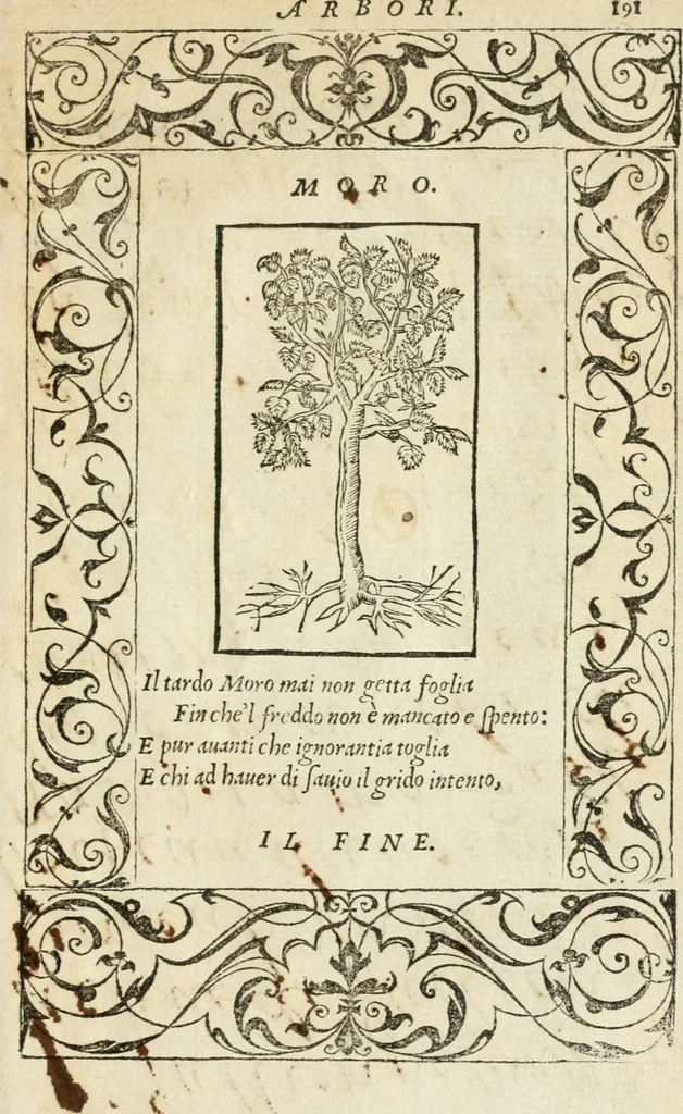 An illustration from Diverse imprese accommodate a diuerse moralità : con versi che i loro significati dichiarano insieme con molte altre nella lingua italiana non piu tradotte, 1551, leaf 196
