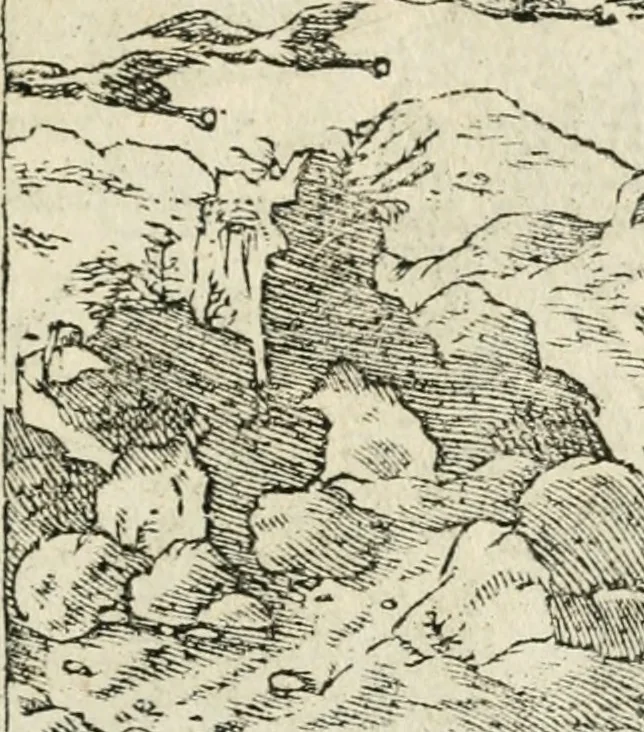 An illustration from Diverse imprese accommodate a diuerse moralità : con versi che i loro significati dichiarano insieme con molte altre nella lingua italiana non piu tradotte, 1551, leaf 24