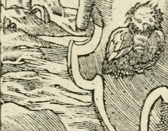 An illustration from Diverse imprese accommodate a diuerse moralità : con versi che i loro significati dichiarano insieme con molte altre nella lingua italiana non piu tradotte, 1551, leaf 26