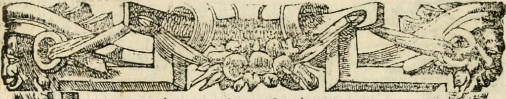 An illustration from Diverse imprese accommodate a diuerse moralità : con versi che i loro significati dichiarano insieme con molte altre nella lingua italiana non piu tradotte, 1551, leaf 31