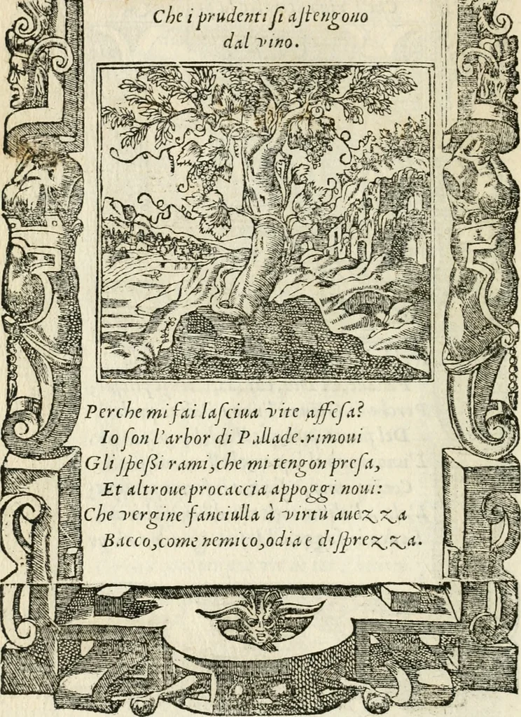 An illustration from Diverse imprese accommodate a diuerse moralità : con versi che i loro significati dichiarano insieme con molte altre nella lingua italiana non piu tradotte, 1551, leaf 31