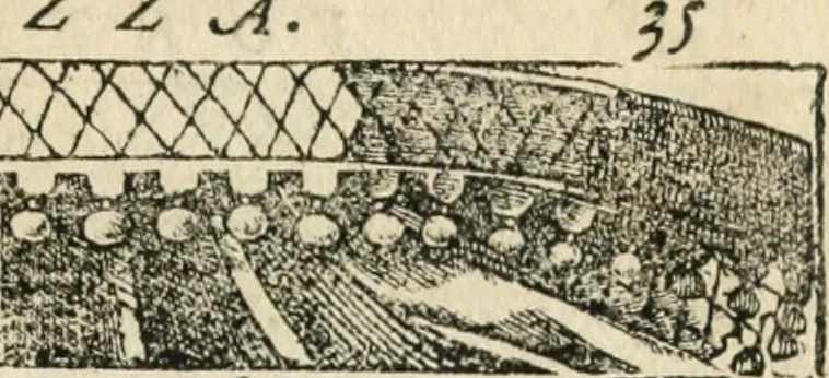An illustration from Diverse imprese accommodate a diuerse moralità : con versi che i loro significati dichiarano insieme con molte altre nella lingua italiana non piu tradotte, 1551, leaf 40