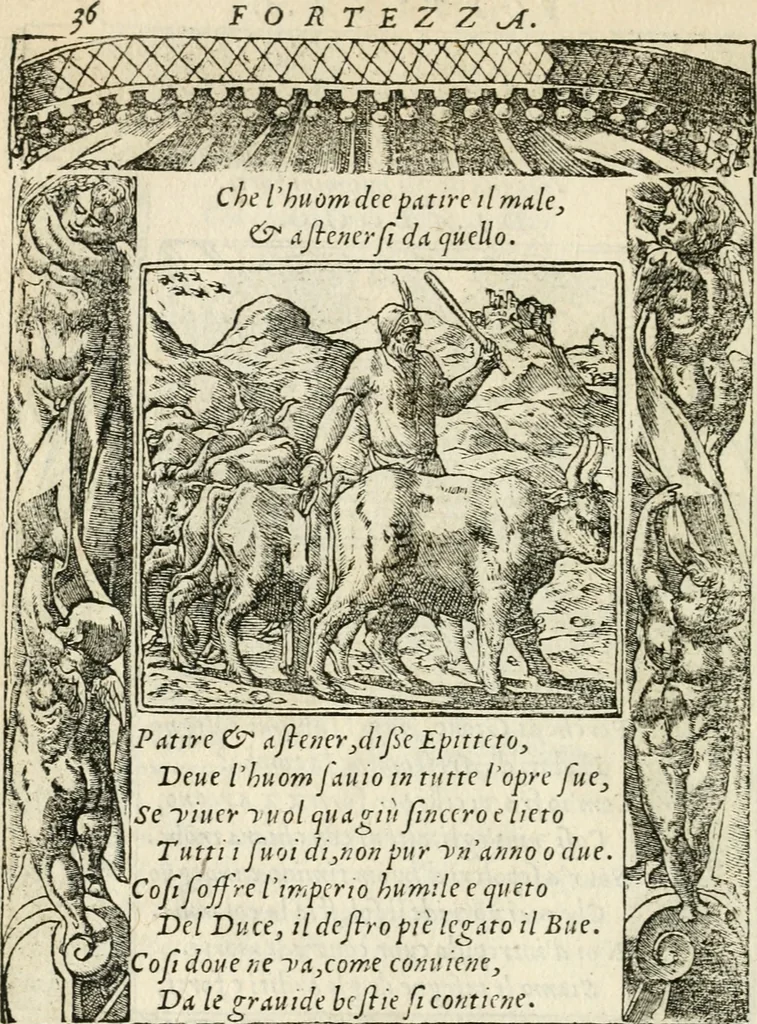 An illustration from Diverse imprese accommodate a diuerse moralità : con versi che i loro significati dichiarano insieme con molte altre nella lingua italiana non piu tradotte, 1551, leaf 41