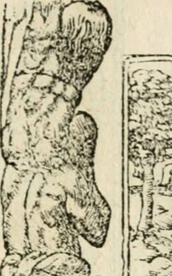 An illustration from Diverse imprese accommodate a diuerse moralità : con versi che i loro significati dichiarano insieme con molte altre nella lingua italiana non piu tradotte, 1551, leaf 42