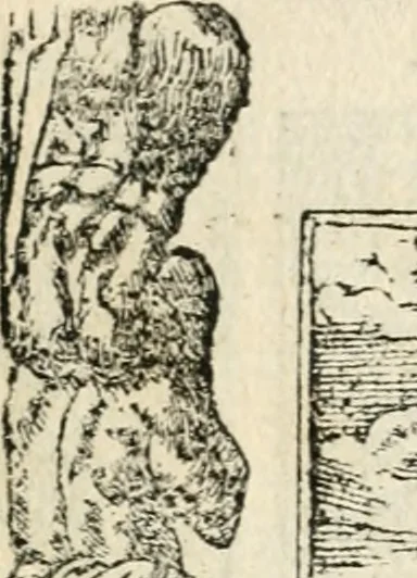 An illustration from Diverse imprese accommodate a diuerse moralità : con versi che i loro significati dichiarano insieme con molte altre nella lingua italiana non piu tradotte, 1551, leaf 43