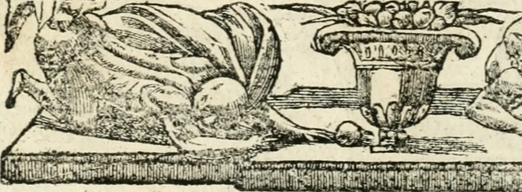 An illustration from Diverse imprese accommodate a diuerse moralità : con versi che i loro significati dichiarano insieme con molte altre nella lingua italiana non piu tradotte, 1551, leaf 43