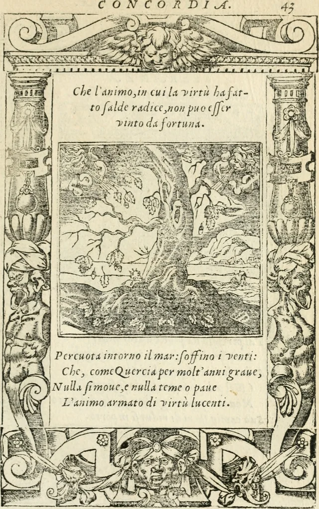 An illustration from Diverse imprese accommodate a diuerse moralità : con versi che i loro significati dichiarano insieme con molte altre nella lingua italiana non piu tradotte, 1551, leaf 48