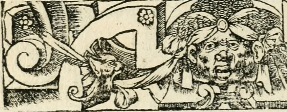 An illustration from Diverse imprese accommodate a diuerse moralità : con versi che i loro significati dichiarano insieme con molte altre nella lingua italiana non piu tradotte, 1551, leaf 49