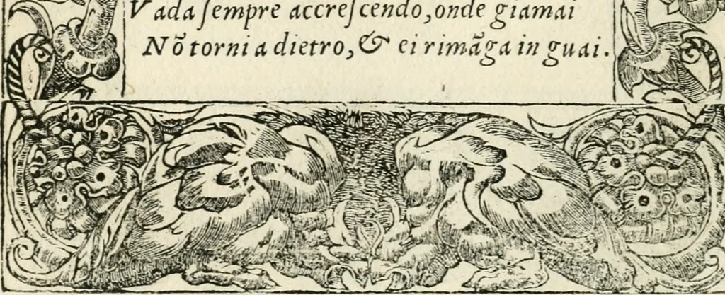 An illustration from Diverse imprese accommodate a diuerse moralità : con versi che i loro significati dichiarano insieme con molte altre nella lingua italiana non piu tradotte, 1551, leaf 53