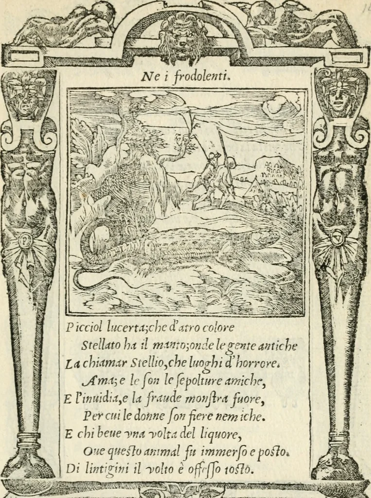 An illustration from Diverse imprese accommodate a diuerse moralità : con versi che i loro significati dichiarano insieme con molte altre nella lingua italiana non piu tradotte, 1551, leaf 56