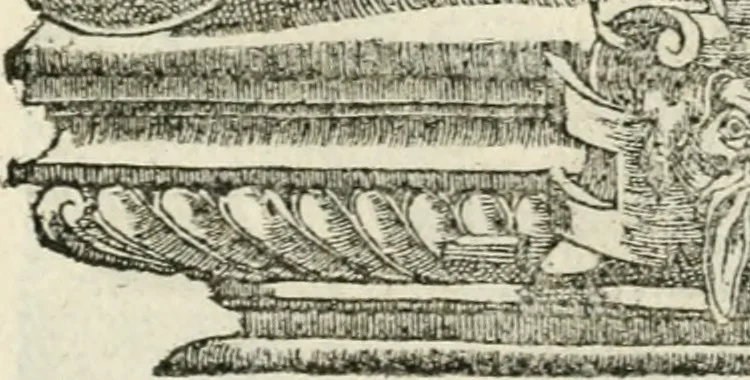 An illustration from Diverse imprese accommodate a diuerse moralità : con versi che i loro significati dichiarano insieme con molte altre nella lingua italiana non piu tradotte, 1551, leaf 56