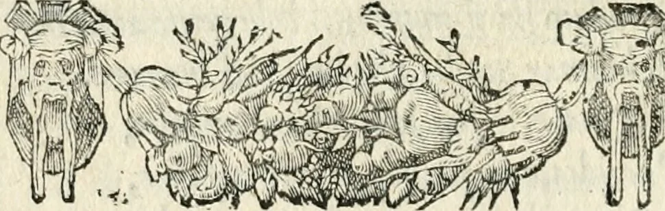 An illustration from Diverse imprese accommodate a diuerse moralità : con versi che i loro significati dichiarano insieme con molte altre nella lingua italiana non piu tradotte, 1551, leaf 57