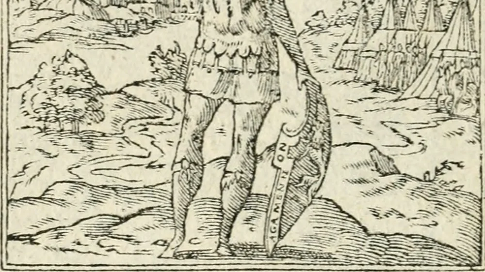 An illustration from Diverse imprese accommodate a diuerse moralità : con versi che i loro significati dichiarano insieme con molte altre nella lingua italiana non piu tradotte, 1551, leaf 63