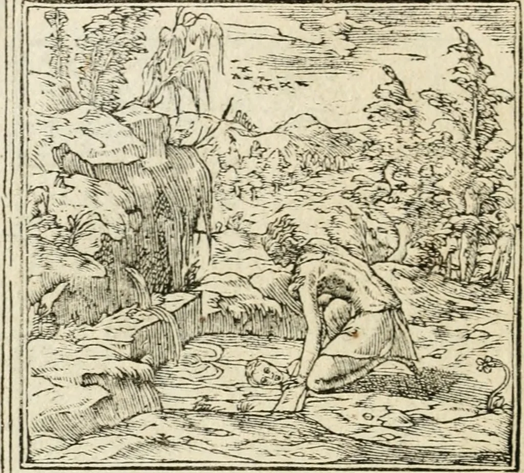 An illustration from Diverse imprese accommodate a diuerse moralità : con versi che i loro significati dichiarano insieme con molte altre nella lingua italiana non piu tradotte, 1551, leaf 73