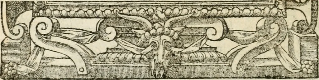 An illustration from Diverse imprese accommodate a diuerse moralità : con versi che i loro significati dichiarano insieme con molte altre nella lingua italiana non piu tradotte, 1551, leaf 75