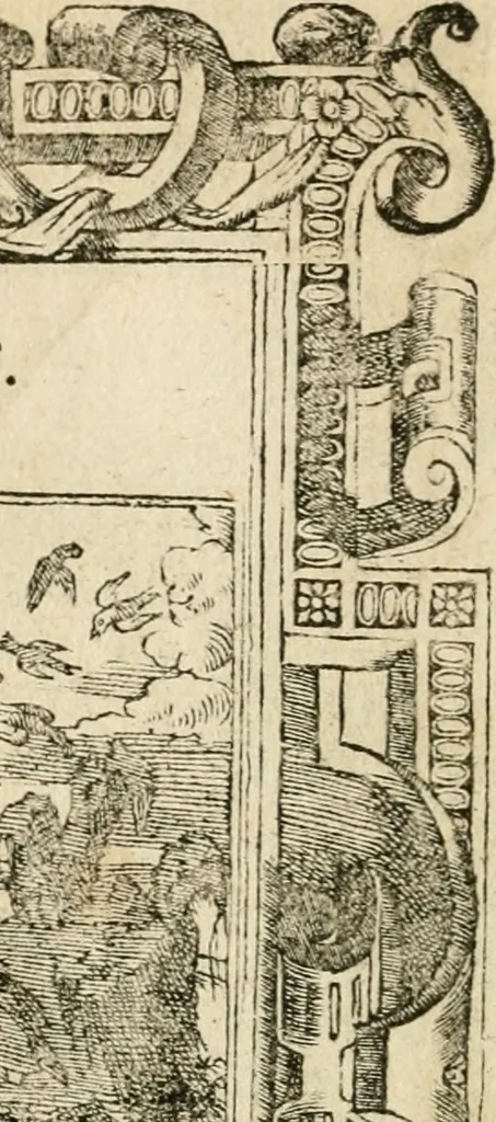 An illustration from Diverse imprese accommodate a diuerse moralità : con versi che i loro significati dichiarano insieme con molte altre nella lingua italiana non piu tradotte, 1551, leaf 77