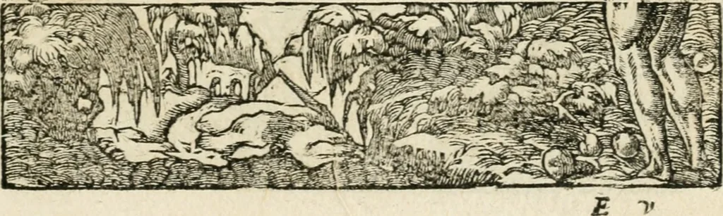 An illustration from Diverse imprese accommodate a diuerse moralità : con versi che i loro significati dichiarano insieme con molte altre nella lingua italiana non piu tradotte, 1551, leaf 78
