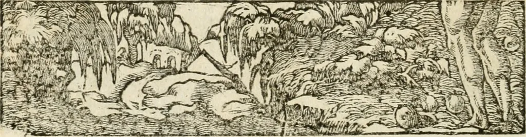 An illustration from Diverse imprese accommodate a diuerse moralità : con versi che i loro significati dichiarano insieme con molte altre nella lingua italiana non piu tradotte, 1551, leaf 79