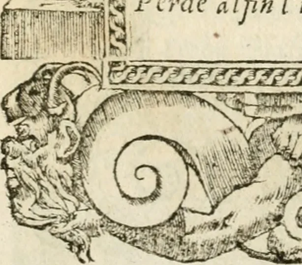 An illustration from Diverse imprese accommodate a diuerse moralità : con versi che i loro significati dichiarano insieme con molte altre nella lingua italiana non piu tradotte, 1551, leaf 80