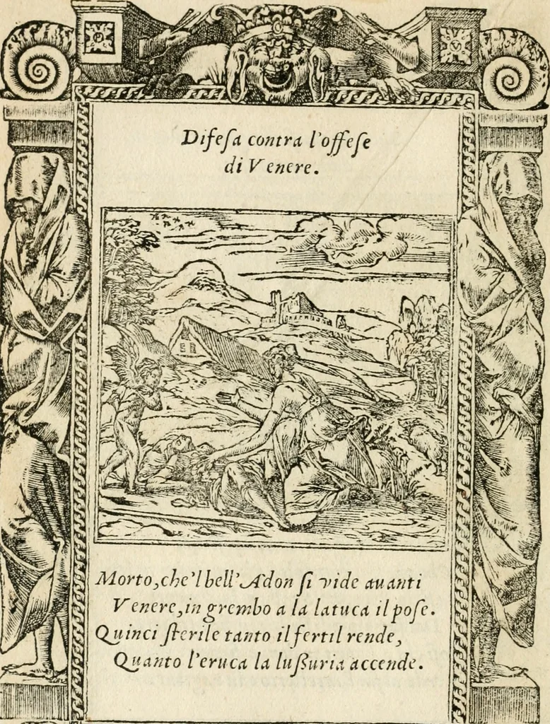 An illustration from Diverse imprese accommodate a diuerse moralità : con versi che i loro significati dichiarano insieme con molte altre nella lingua italiana non piu tradotte, 1551, leaf 81