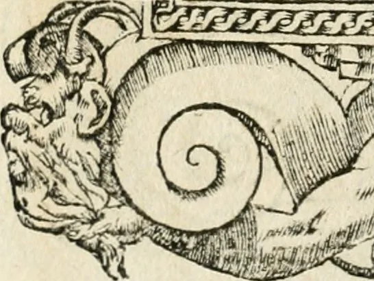 An illustration from Diverse imprese accommodate a diuerse moralità : con versi che i loro significati dichiarano insieme con molte altre nella lingua italiana non piu tradotte, 1551, leaf 81