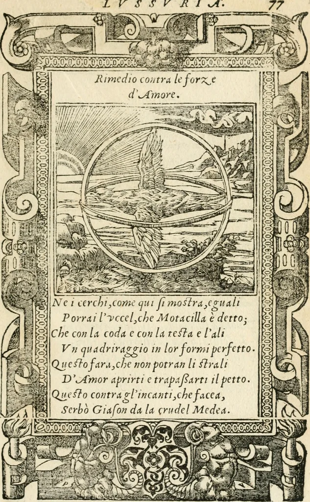 An illustration from Diverse imprese accommodate a diuerse moralità : con versi che i loro significati dichiarano insieme con molte altre nella lingua italiana non piu tradotte, 1551, leaf 82