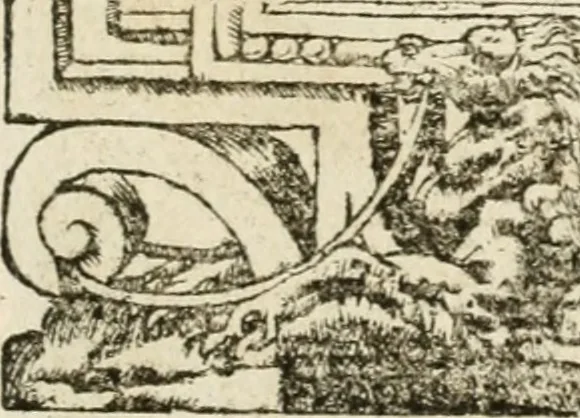 An illustration from Diverse imprese accommodate a diuerse moralità : con versi che i loro significati dichiarano insieme con molte altre nella lingua italiana non piu tradotte, 1551, leaf 84