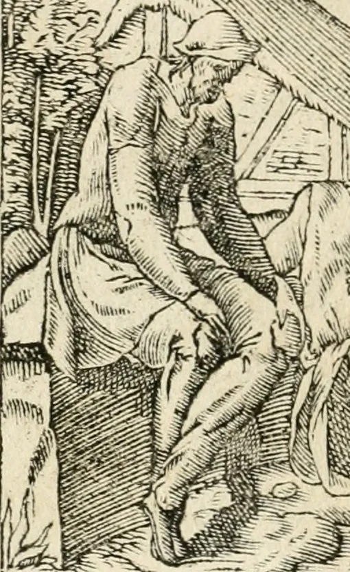 An illustration from Diverse imprese accommodate a diuerse moralità : con versi che i loro significati dichiarano insieme con molte altre nella lingua italiana non piu tradotte, 1551, leaf 85