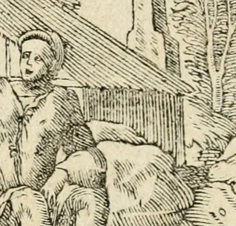 An illustration from Diverse imprese accommodate a diuerse moralità : con versi che i loro significati dichiarano insieme con molte altre nella lingua italiana non piu tradotte, 1551, leaf 85