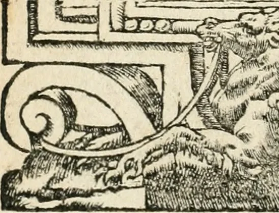 An illustration from Diverse imprese accommodate a diuerse moralità : con versi che i loro significati dichiarano insieme con molte altre nella lingua italiana non piu tradotte, 1551, leaf 85
