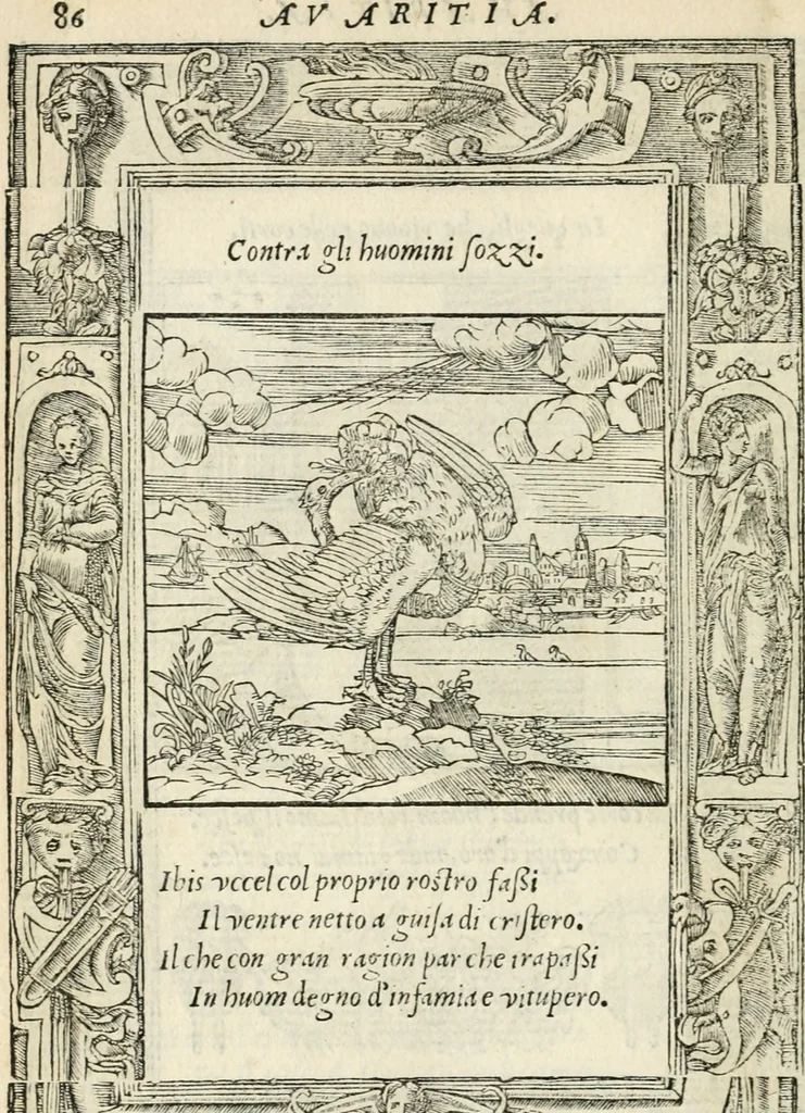 An illustration from Diverse imprese accommodate a diuerse moralità : con versi che i loro significati dichiarano insieme con molte altre nella lingua italiana non piu tradotte, 1551, leaf 91