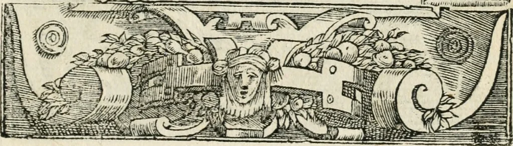 An illustration from Diverse imprese accommodate a diuerse moralità : con versi che i loro significati dichiarano insieme con molte altre nella lingua italiana non piu tradotte, 1551, leaf 94