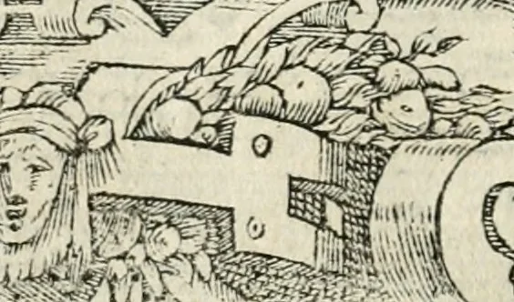 An illustration from Diverse imprese accommodate a diuerse moralità : con versi che i loro significati dichiarano insieme con molte altre nella lingua italiana non piu tradotte, 1551, leaf 95
