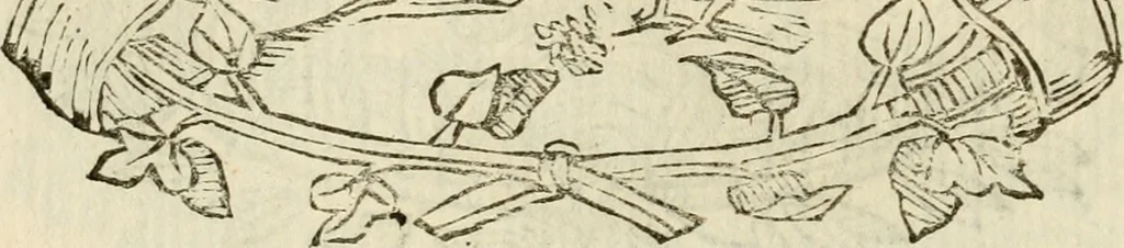 An illustration from Imprese dell' Offitioso, accademico intronato, 1628, leaf 103