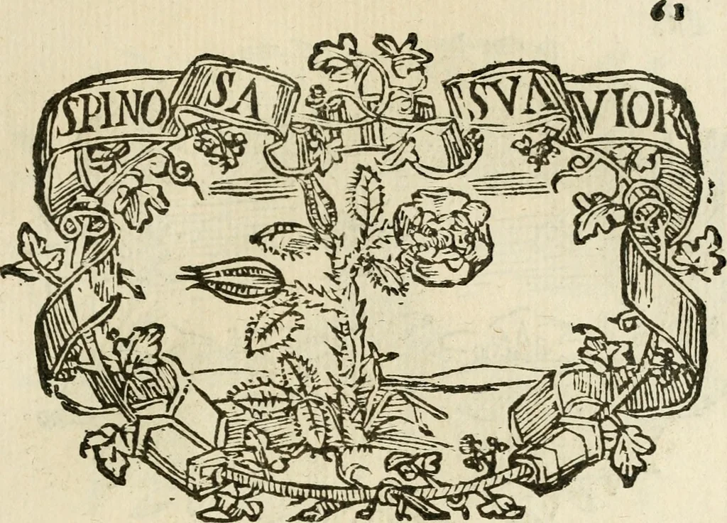 An illustration from Imprese dell' Offitioso, accademico intronato, 1628, leaf 112