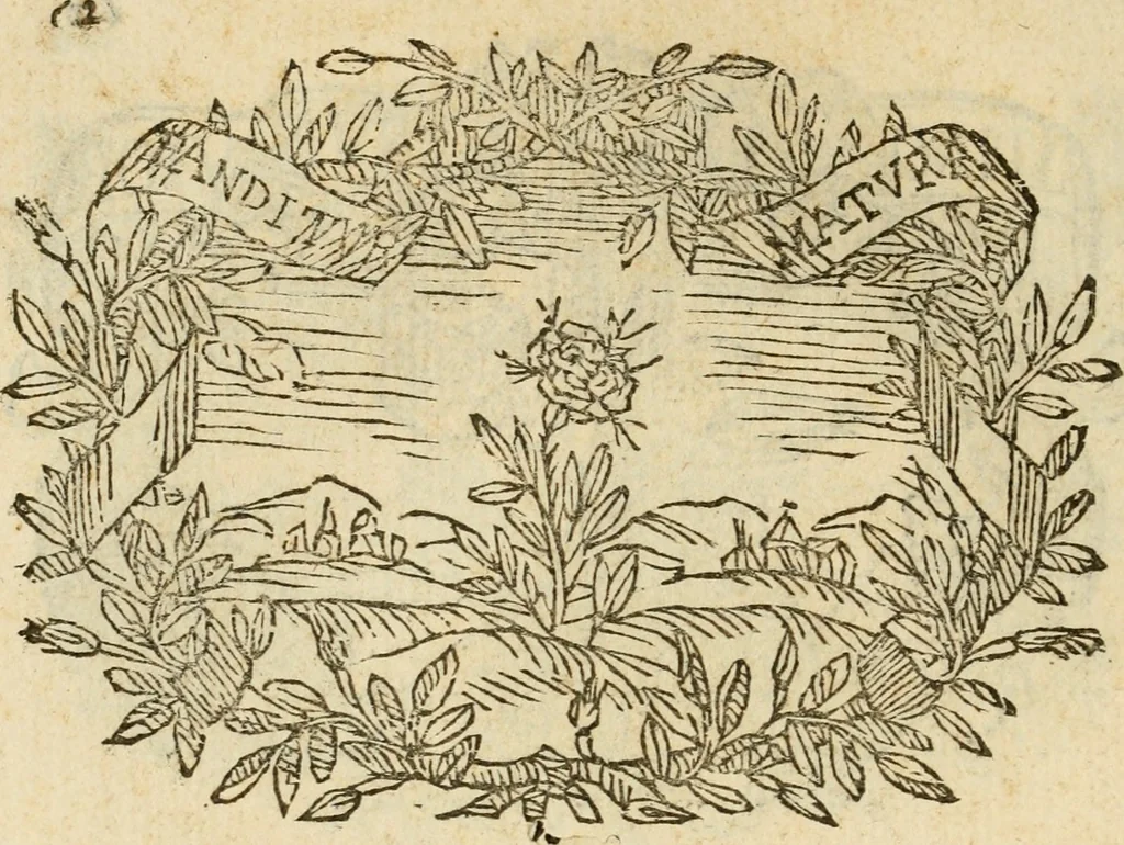 An illustration from Imprese dell' Offitioso, accademico intronato, 1628, leaf 113