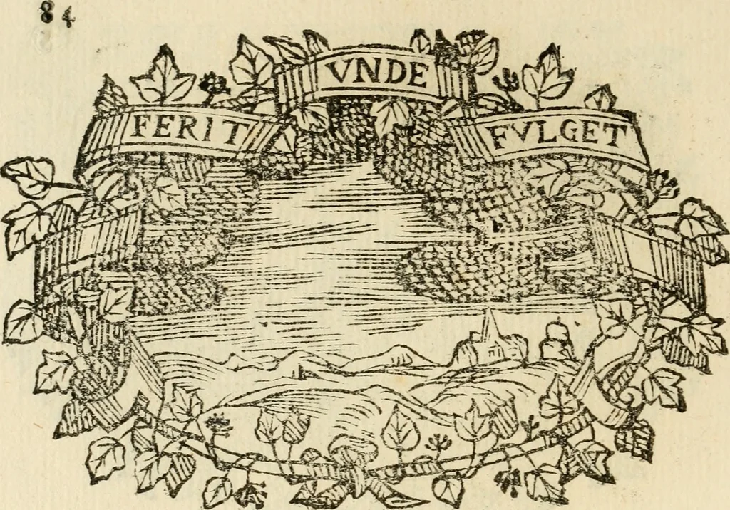 An illustration from Imprese dell' Offitioso, accademico intronato, 1628, leaf 135