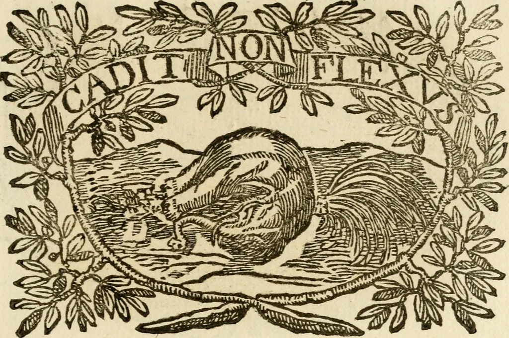 An illustration from Imprese dell' Offitioso, accademico intronato, 1628, leaf 204