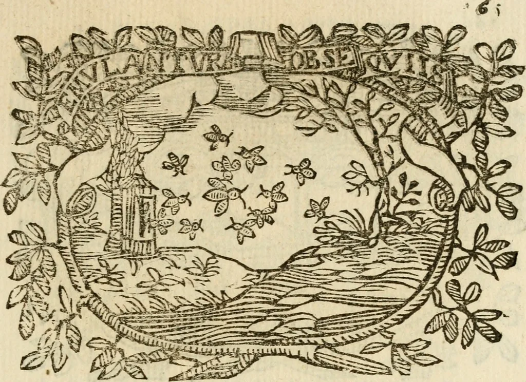 An illustration from Imprese dell' Offitioso, accademico intronato, 1628, leaf 216