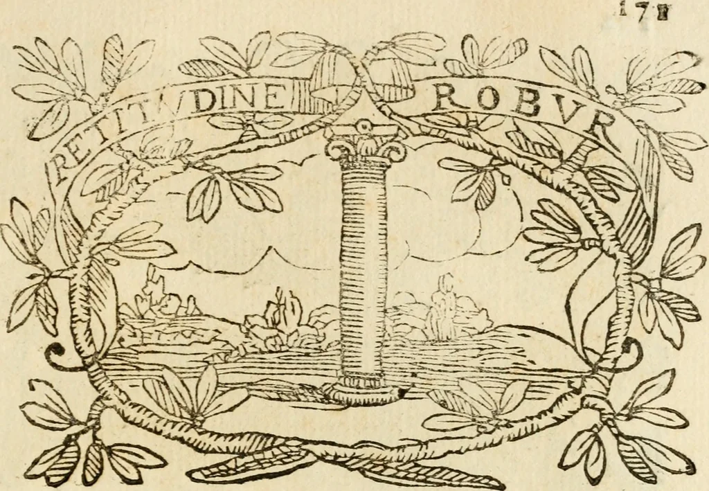 An illustration from Imprese dell' Offitioso, accademico intronato, 1628, leaf 222