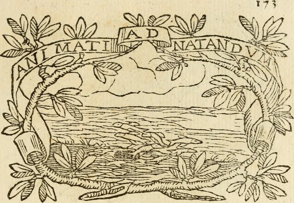 An illustration from Imprese dell' Offitioso, accademico intronato, 1628, leaf 224