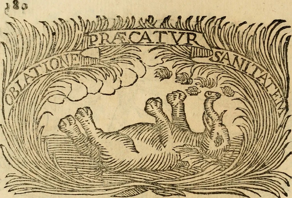 An illustration from Imprese dell' Offitioso, accademico intronato, 1628, leaf 231