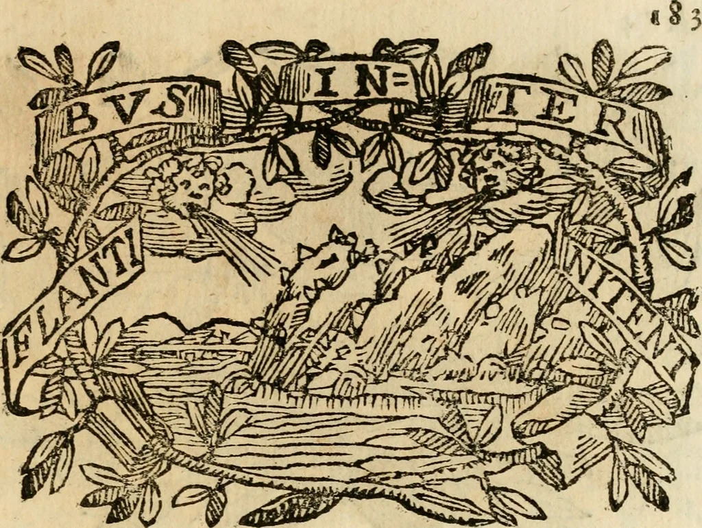 An illustration from Imprese dell' Offitioso, accademico intronato, 1628, leaf 234