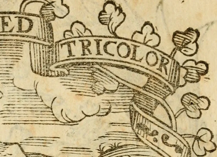 An illustration from Imprese dell' Offitioso, accademico intronato, 1628, leaf 289