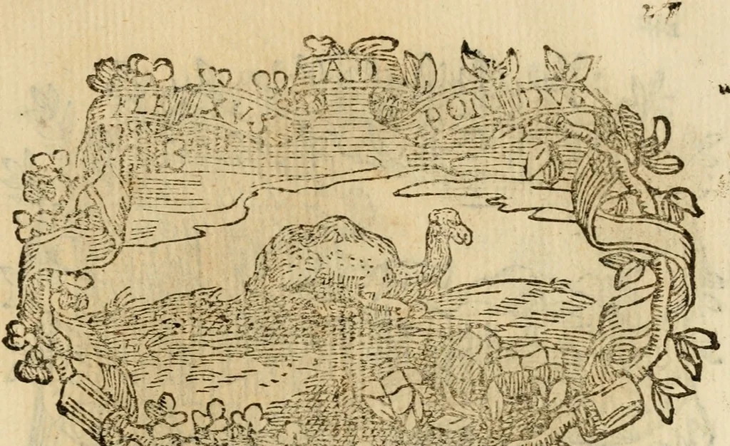 An illustration from Imprese dell' Offitioso, accademico intronato, 1628, leaf 302