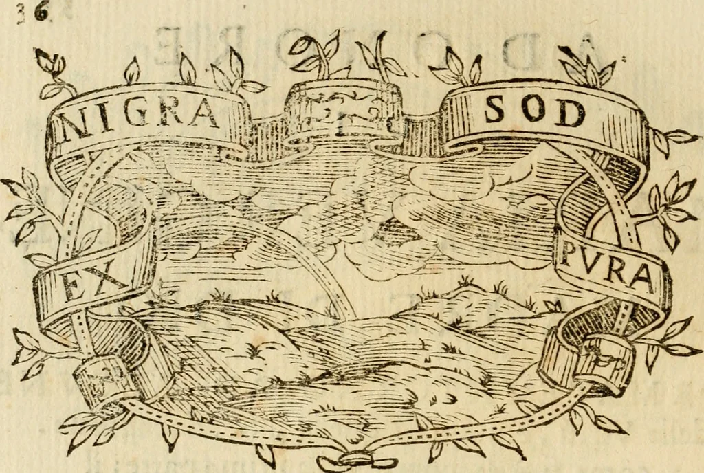 An illustration from Imprese dell' Offitioso, accademico intronato, 1628, leaf 309