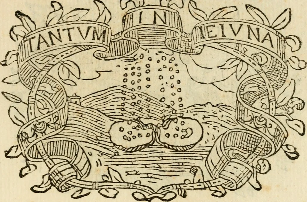 An illustration from Imprese dell' Offitioso, accademico intronato, 1628, leaf 316